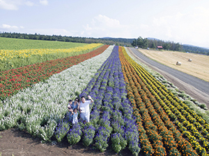 Travel diary of Hokkaido,Japan